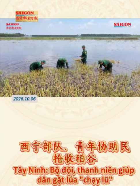 @西贡解放日报-Báo SGGP bản Hoa văn