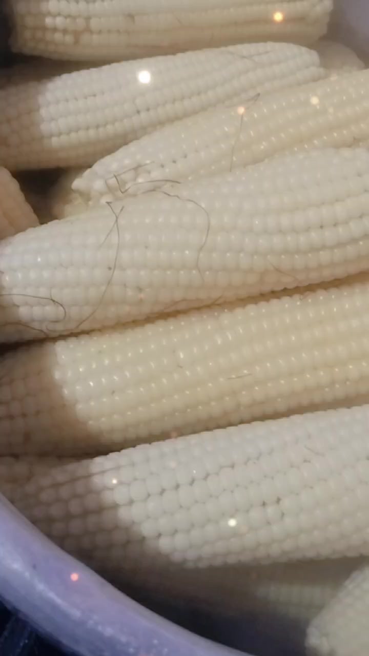 @mariaargueta302