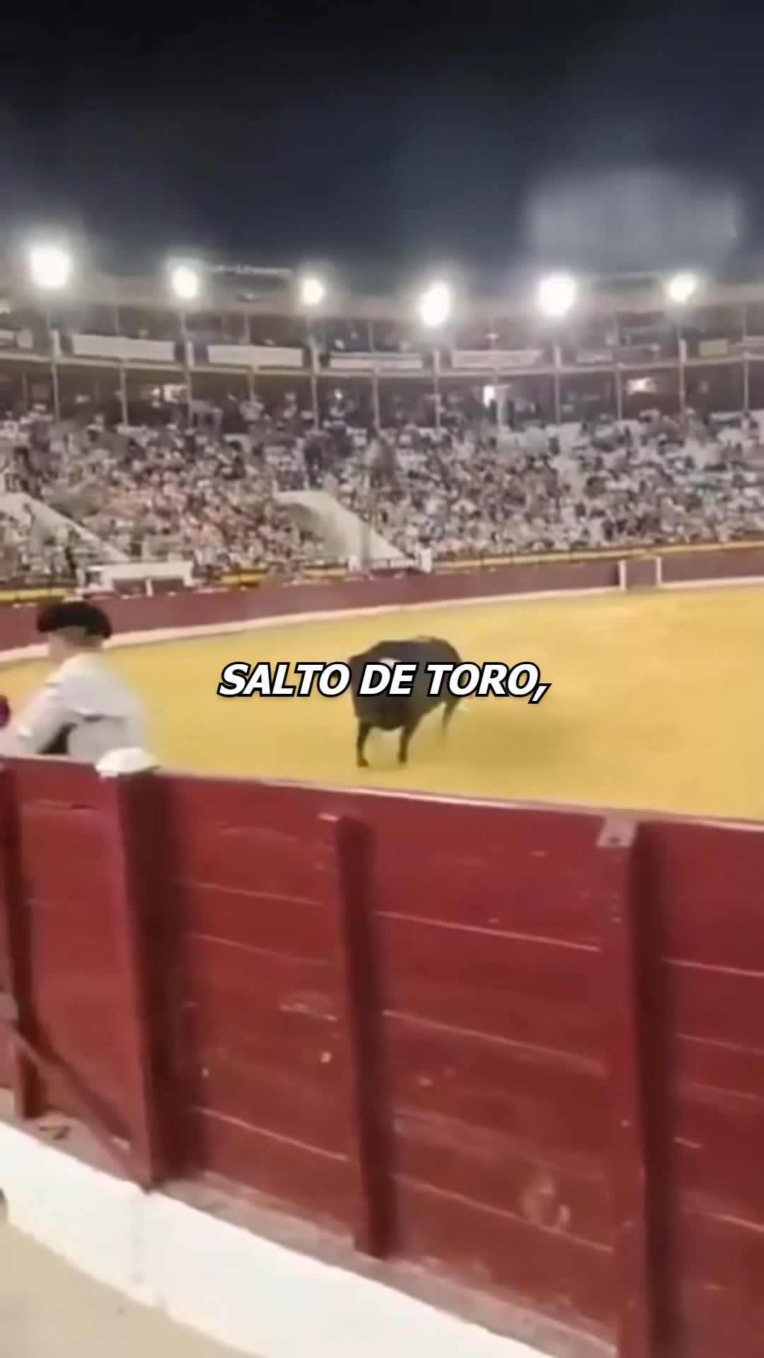 @Charlygalleta