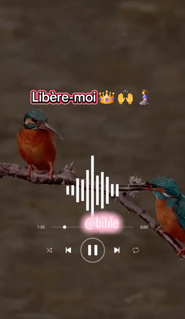 @☦️ Bible th&eacute;matique ⛪️