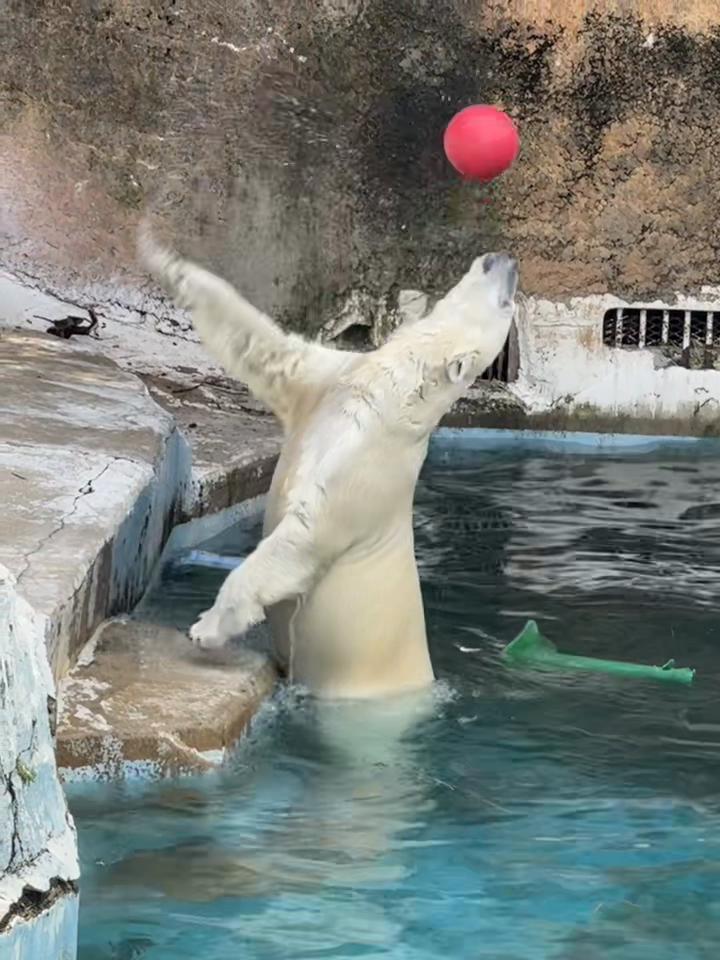 @脚長のボニー