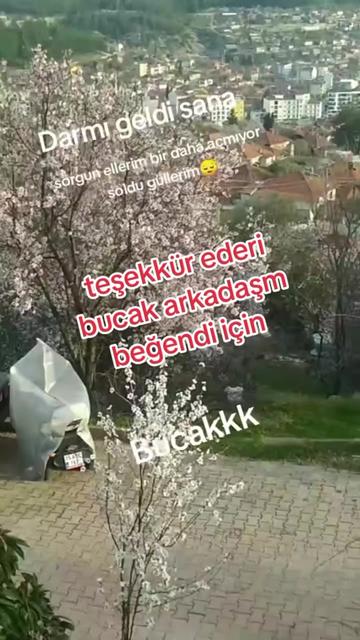 @32🇹🇷asker annesi 🇹🇷32