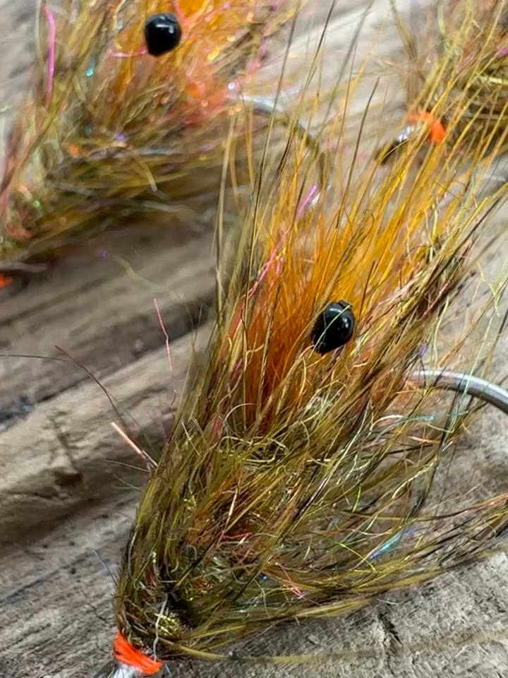 @veevusFishing