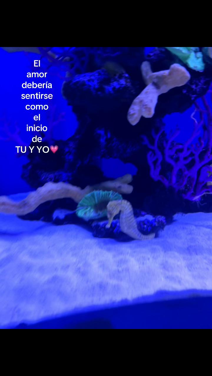 @Tus compartidos😀