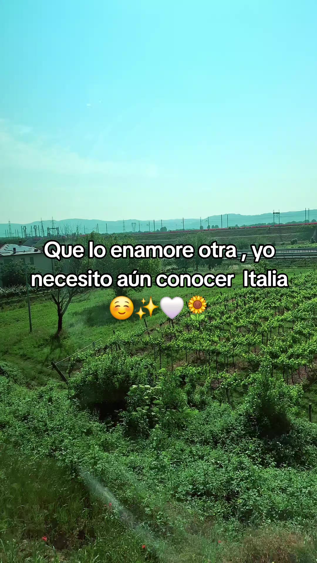 @𝓢𝓾𝓼𝓪𝓷🌻🌻 ♡
