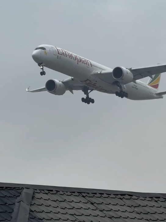 @Aviation