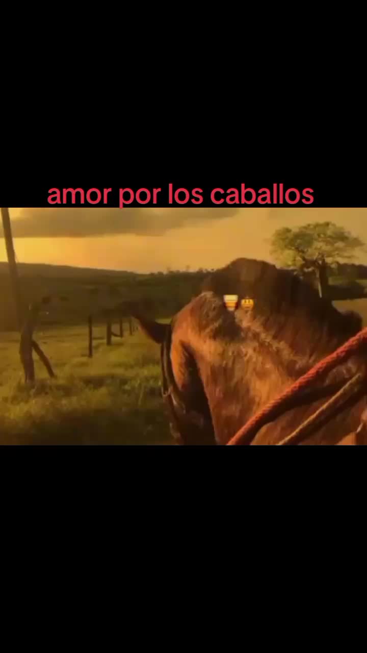 @jonathan@joncito