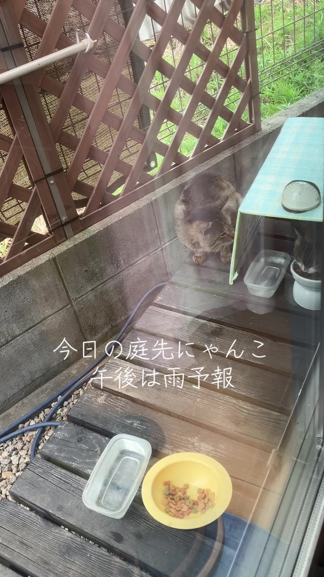 @にゃん⭐︎にゃんZ