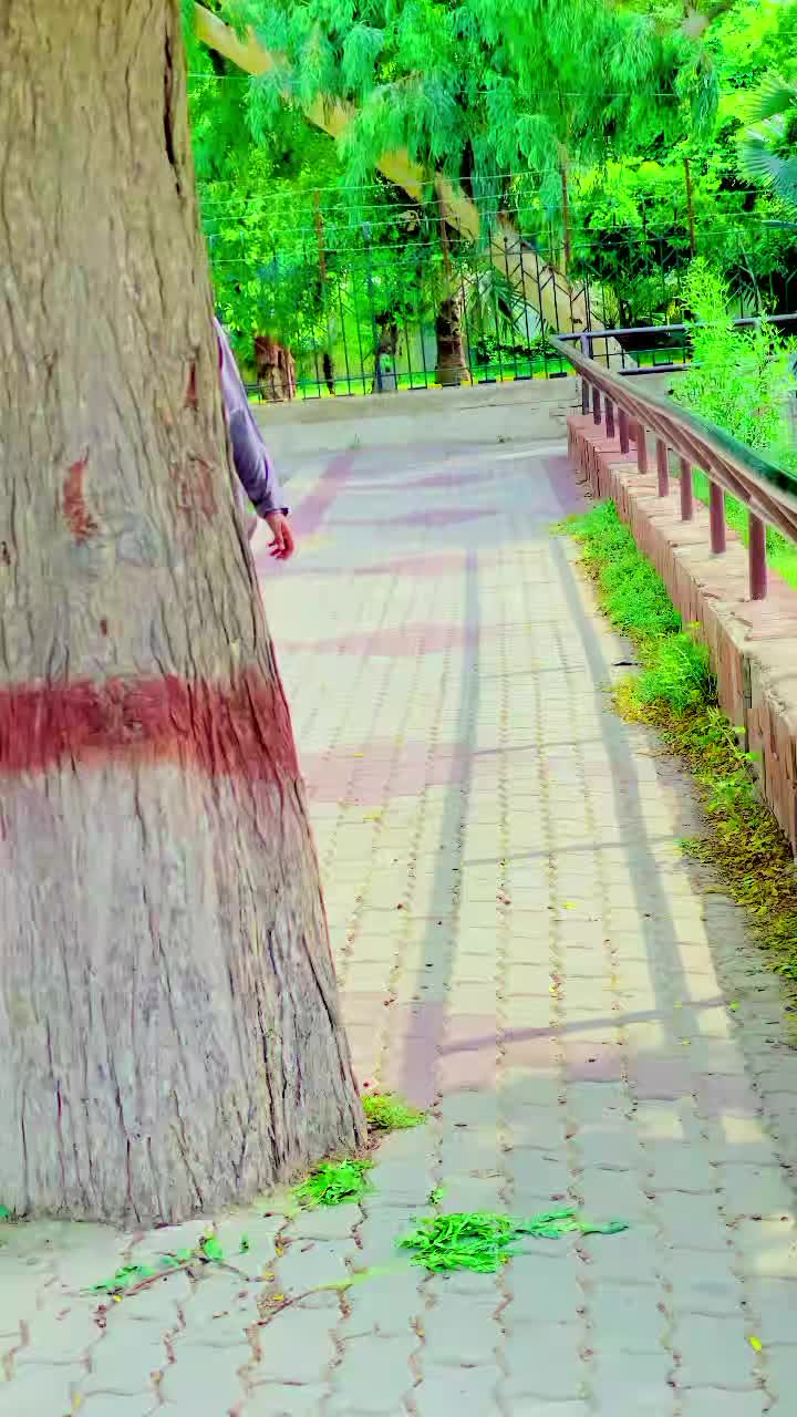 @︻╦デ╤━╼یا مخلص تھی یا یار نہ سڈ