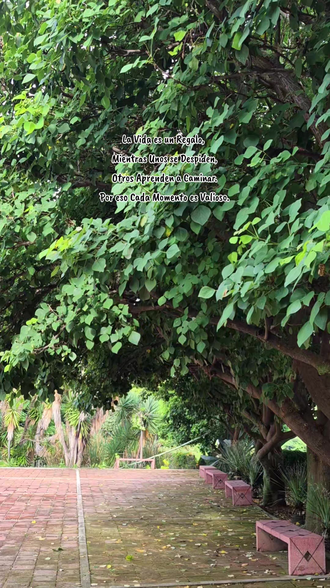 @𝐋𝐢𝐳𝐚 𝐁𝐞𝐫𝐧𝐚𝐥