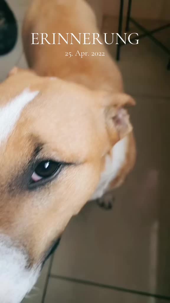 @🐕TiZi❤️🔥