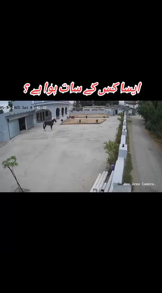 @🐴 گھوڑا شوق 🐴