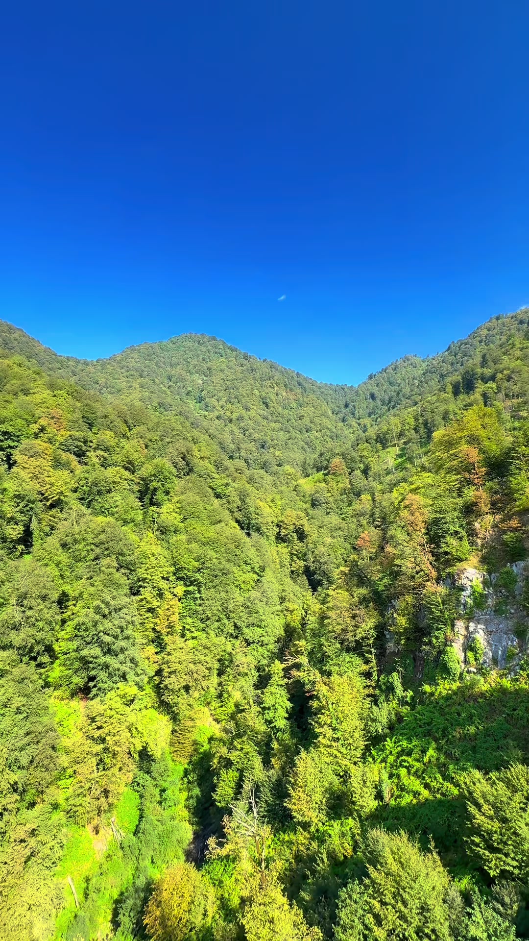 @𝑺.🇦🇿