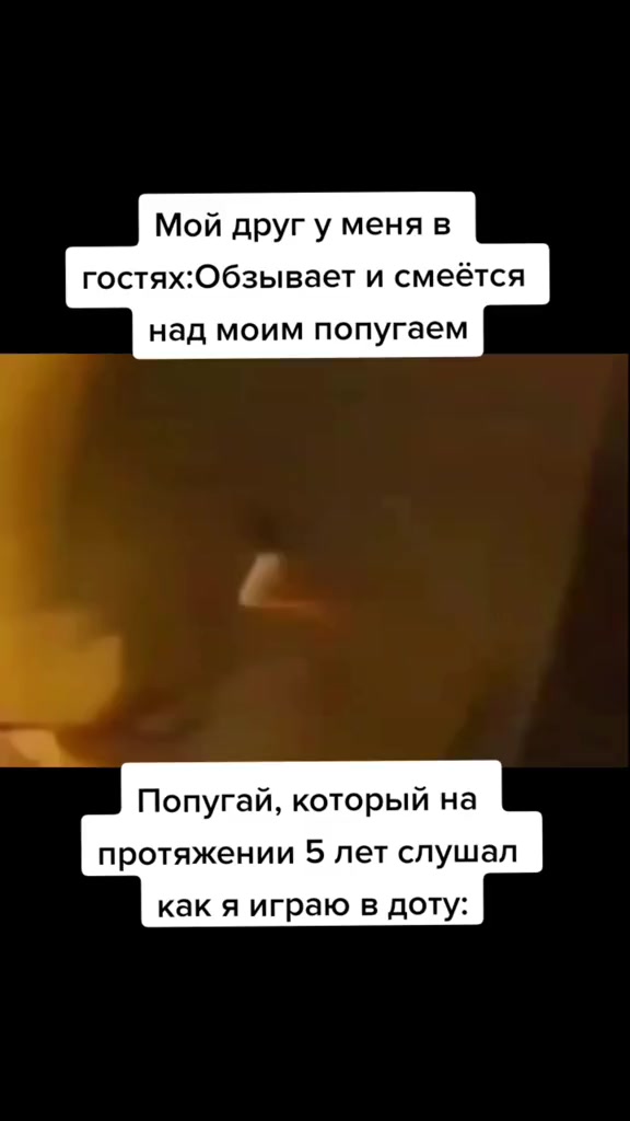 @titopik