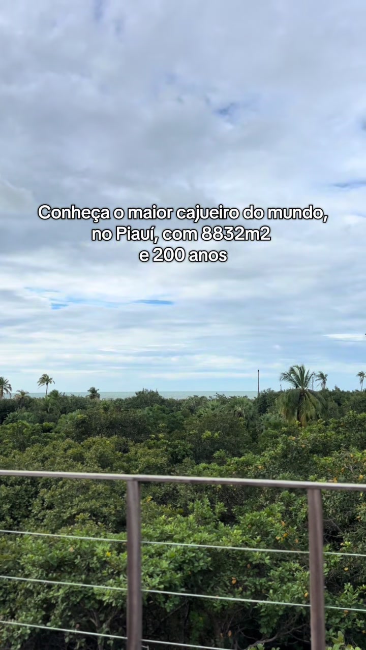 @Gabi Lima