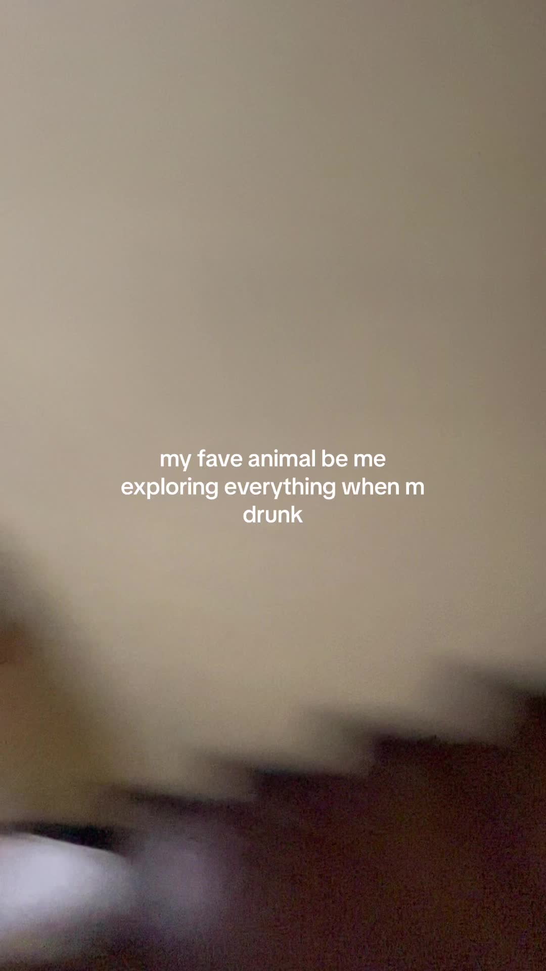 @jexi fernandez
