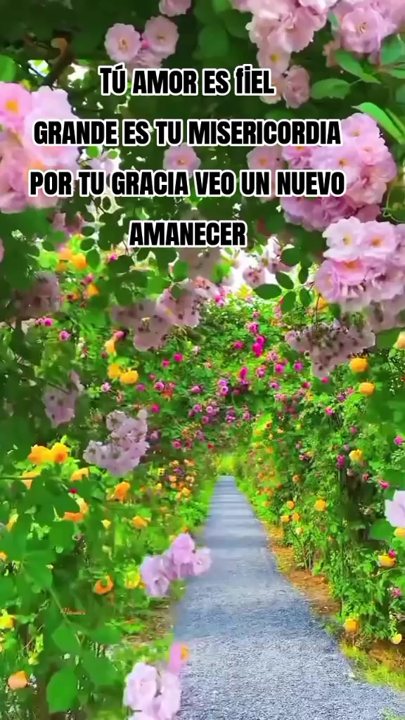 @❤️&zwj;🩹 🦋
