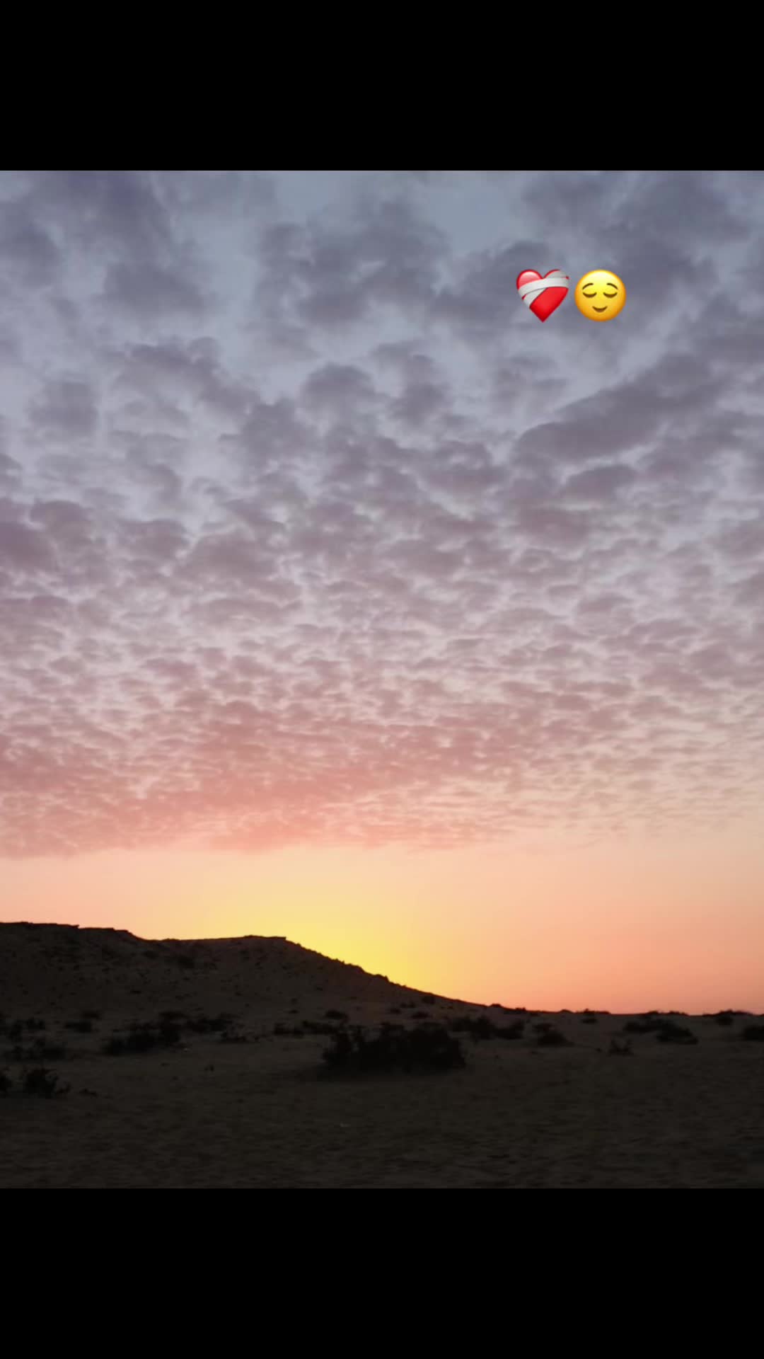 @O M A R