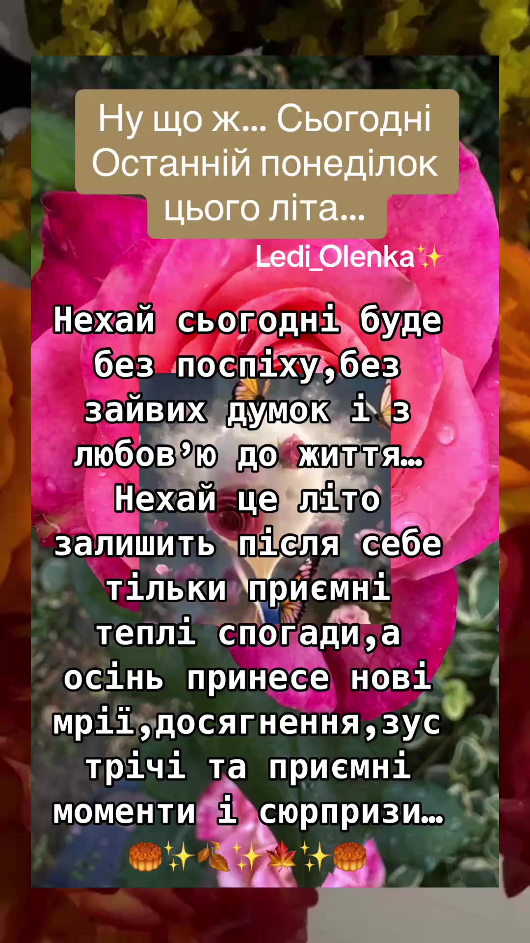 @✨🤍ОрХіДеЯ🤍✨🌟Одна така🌟
