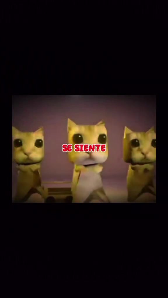 @notificación