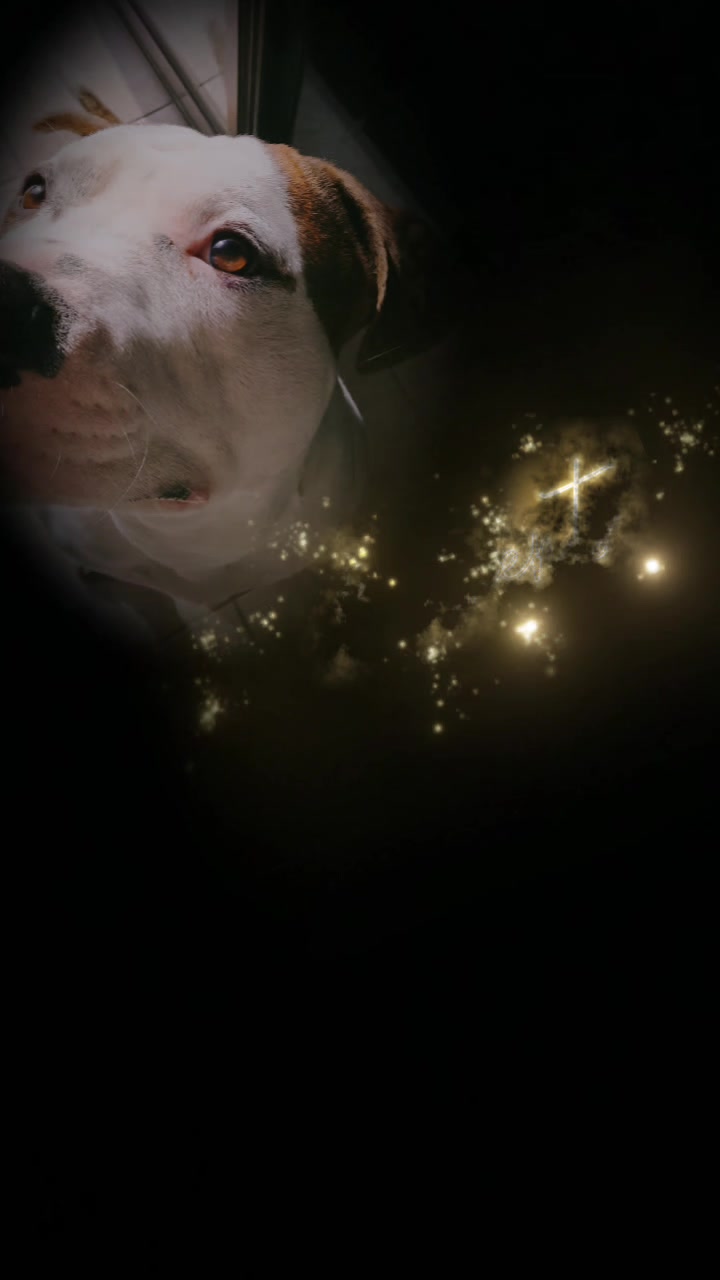 @Mariolina Natale