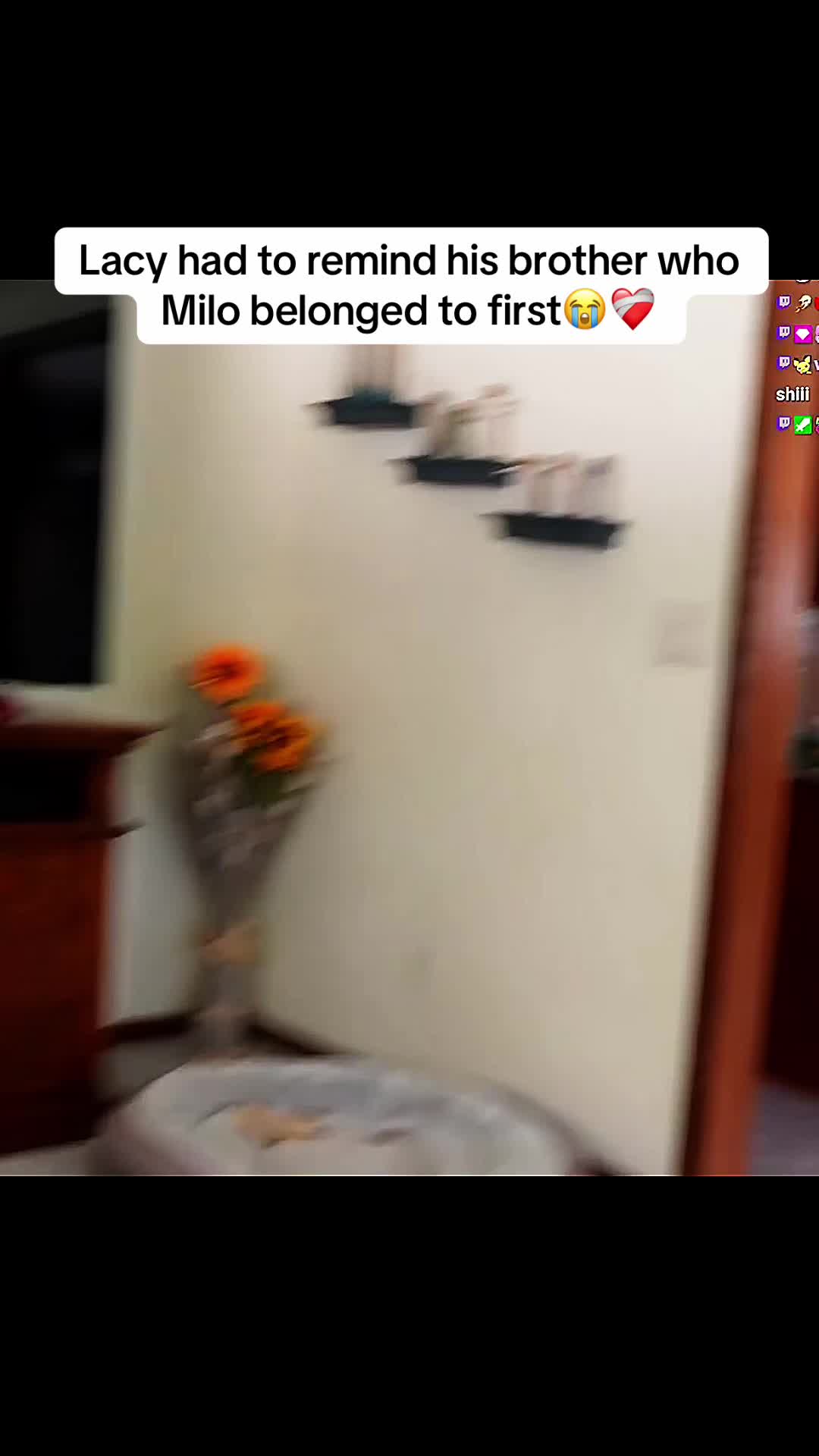 @clipsgalorex96