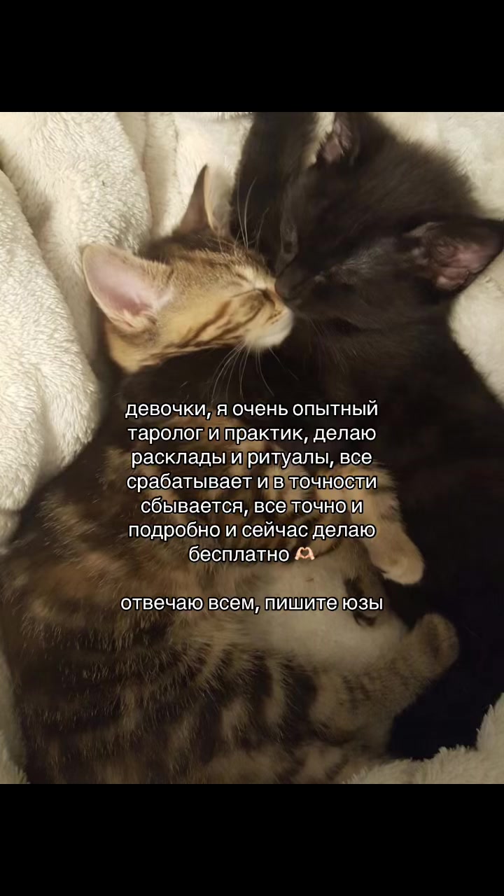 @prtarr0tka