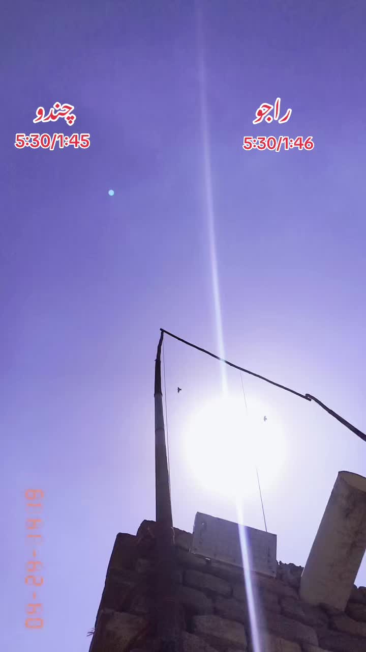 @ʜᴀʀᴏᴏɴ ᴊᴏʏɪᴀ