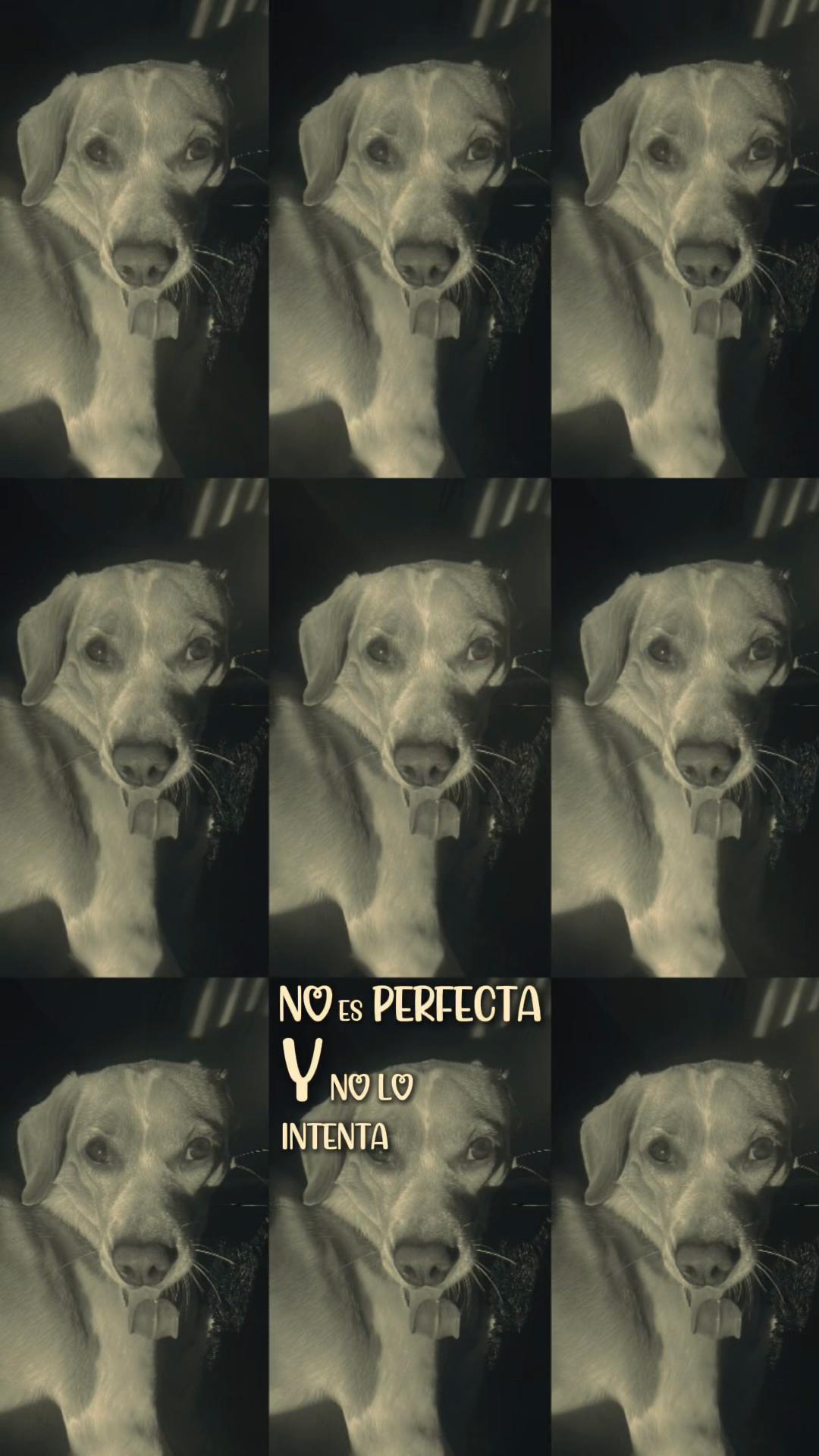 @Yessica Gatica