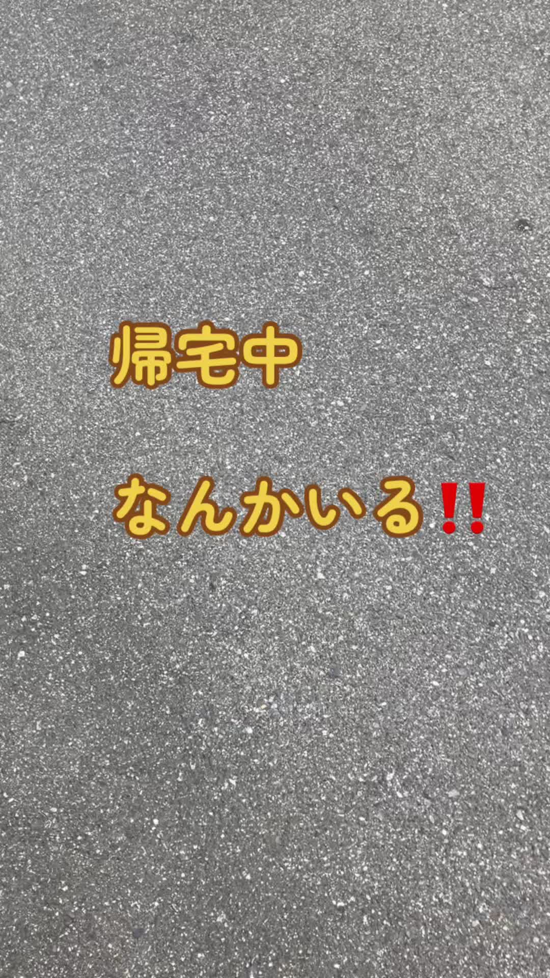 @茶トラ商店