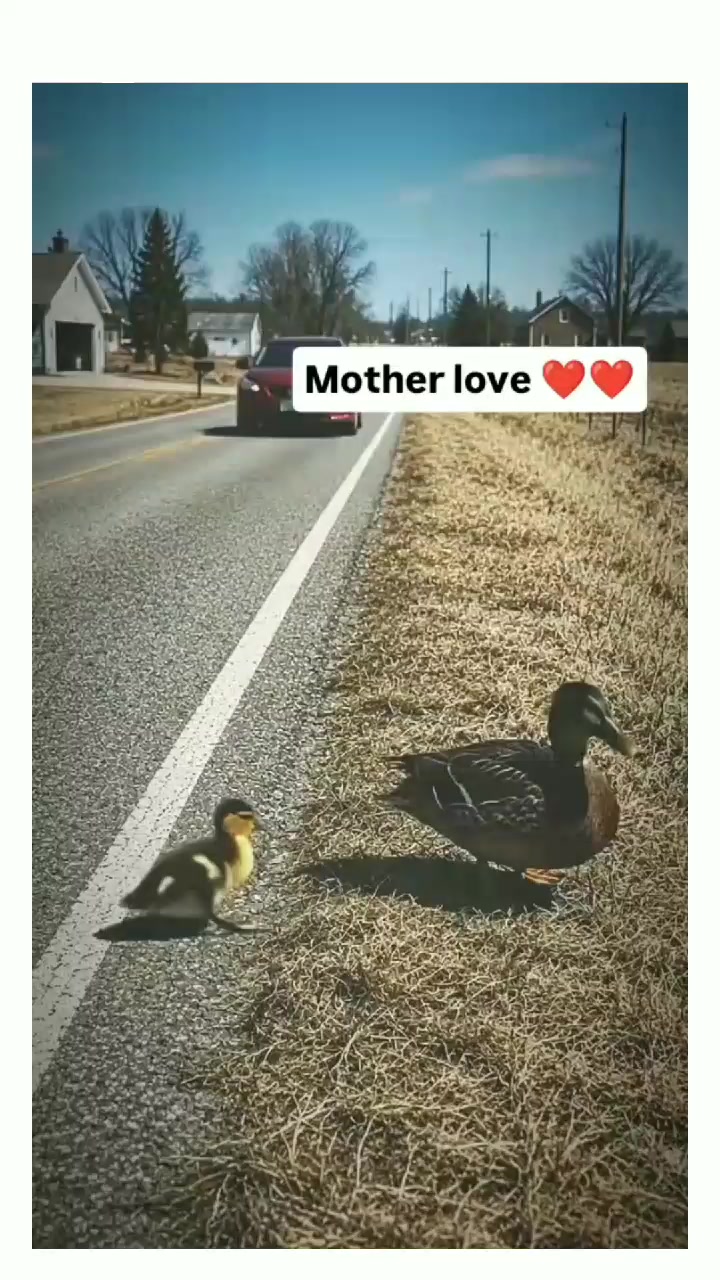 @😍Sawera Râjpööt👰