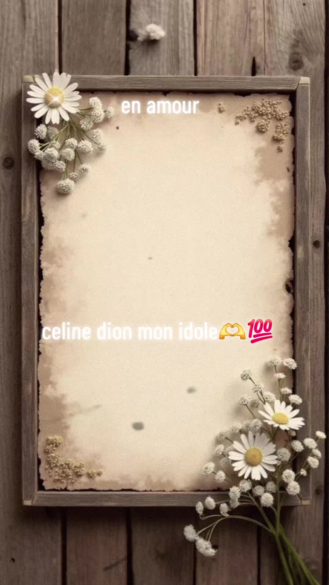 @vivi