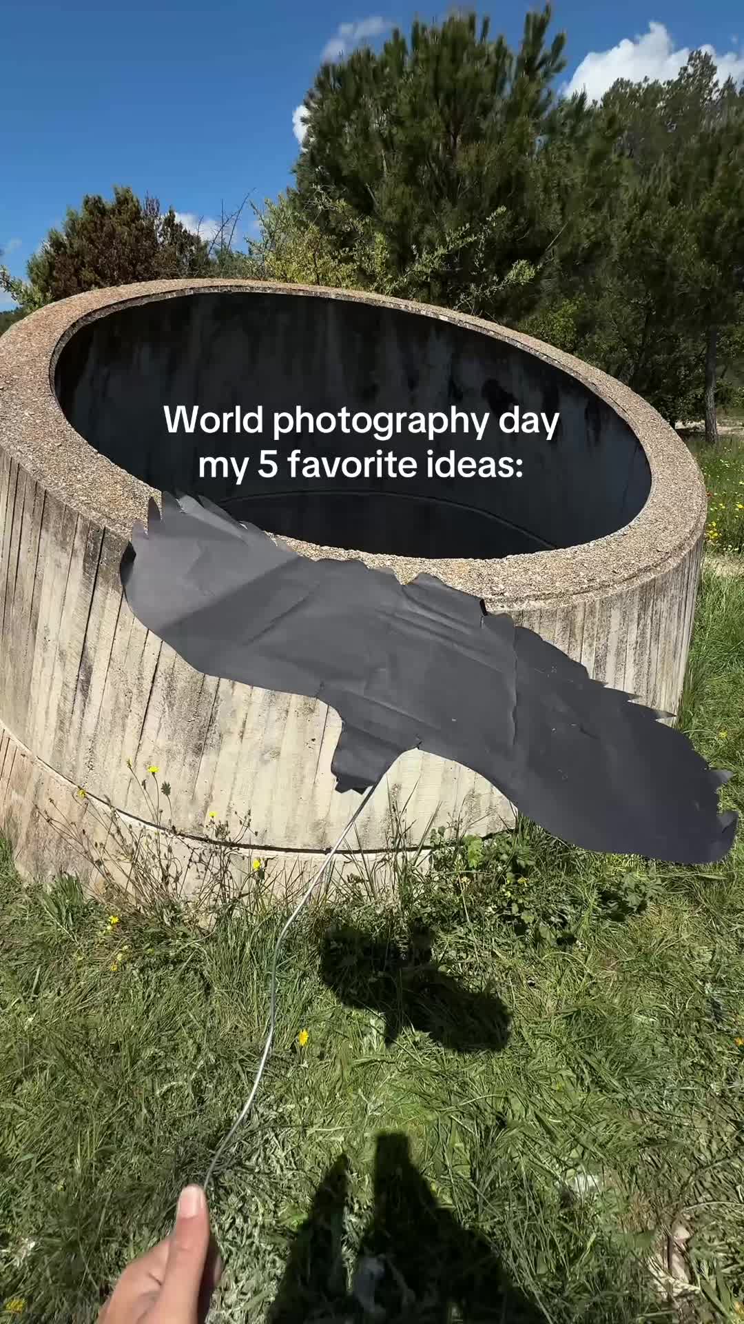 @Jordi Koalitic