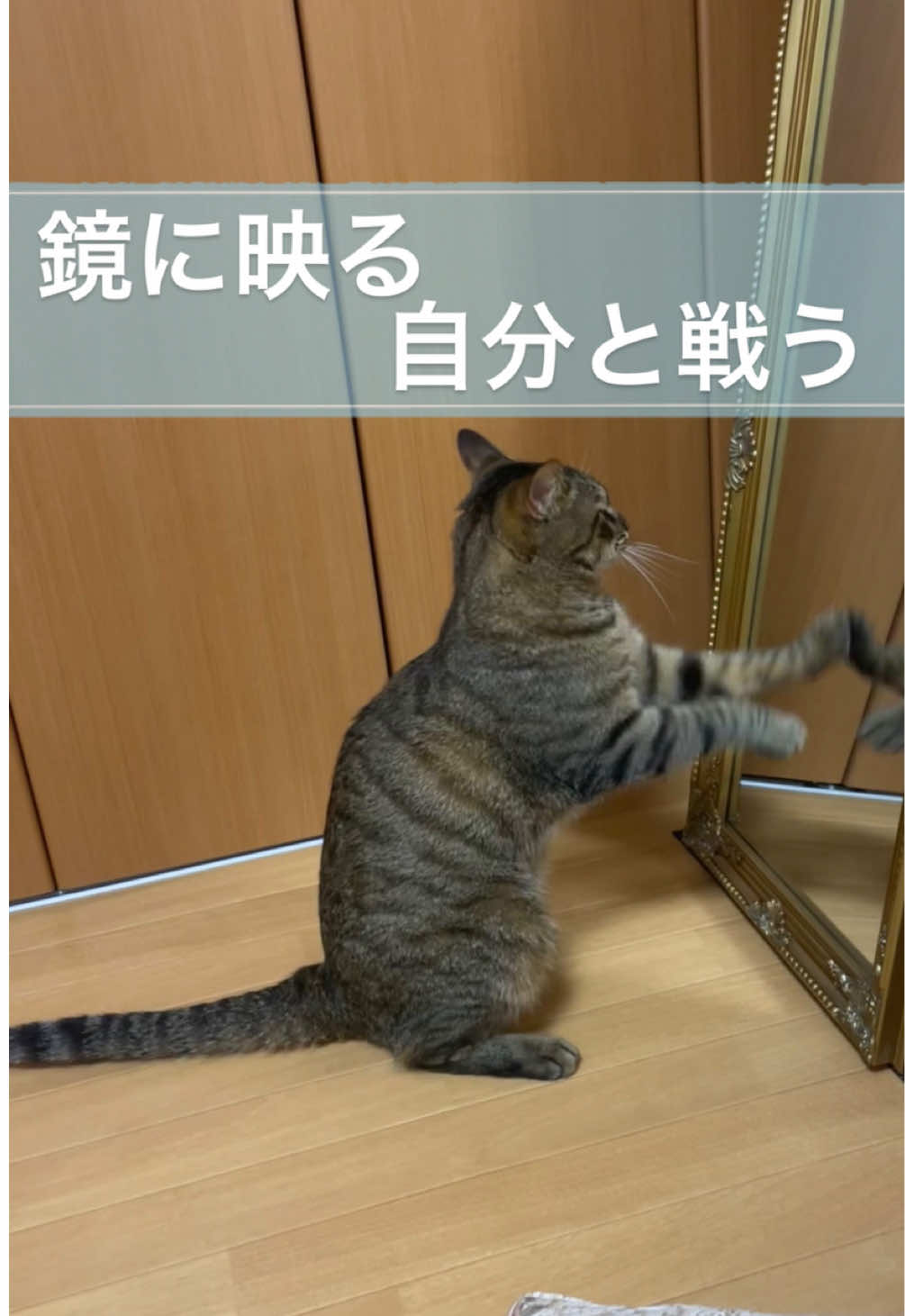 @さっことおちょ