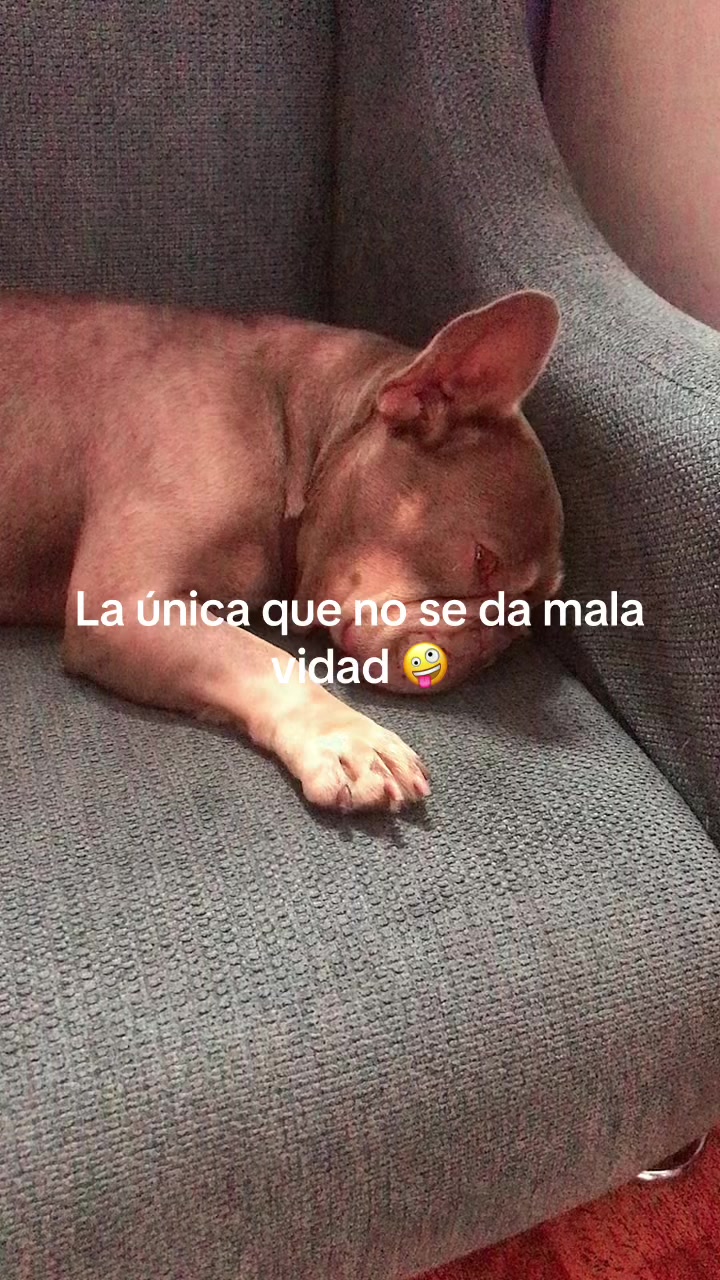 @la flaca 💛💙❤️ caracas🇵🇪