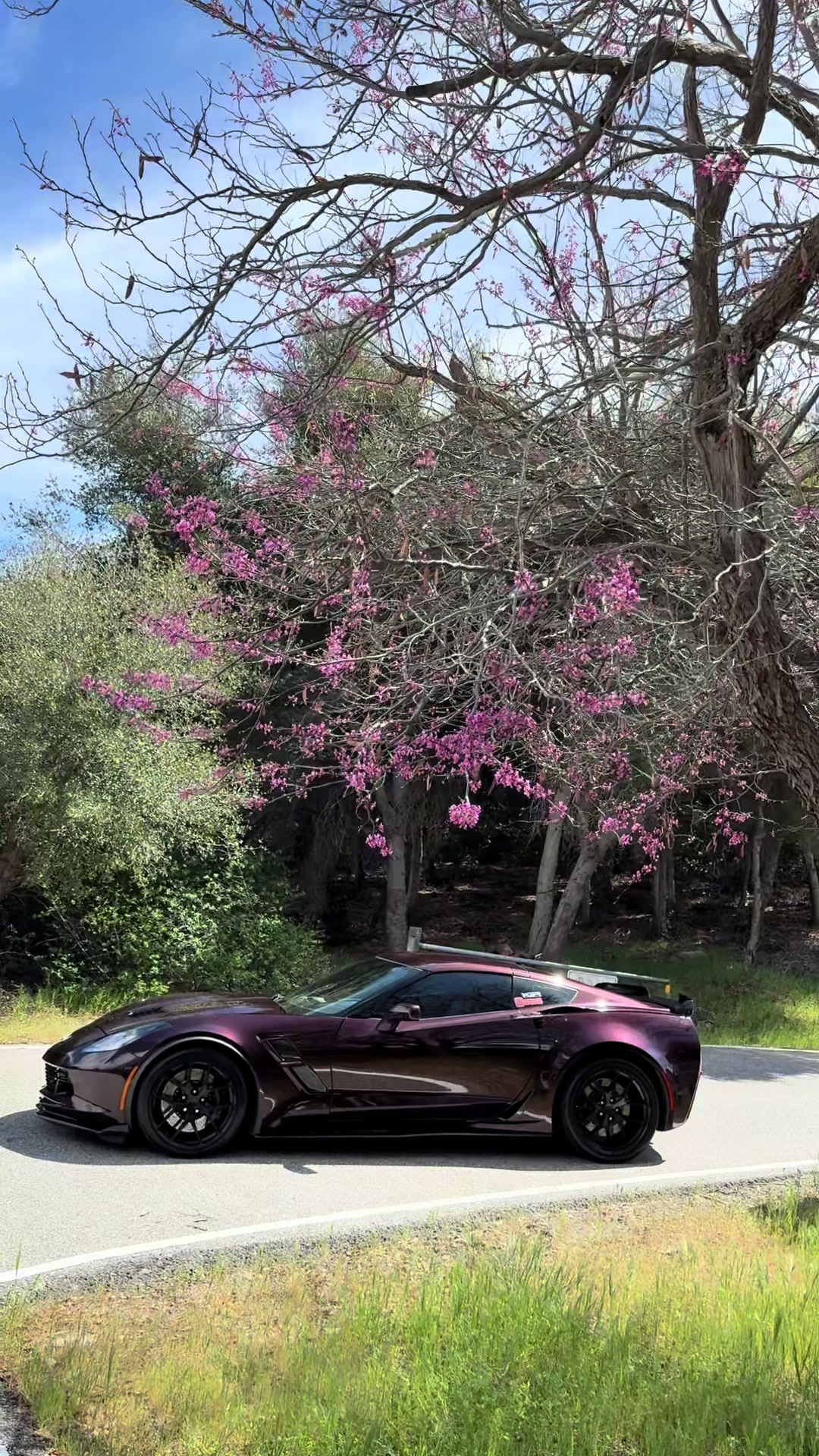 @C7r1ch