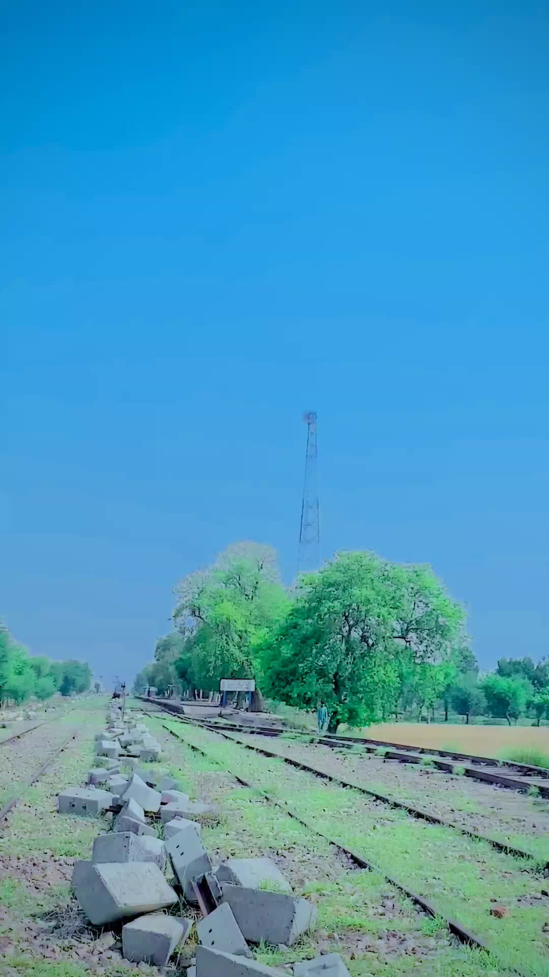 @[Danish✓Lashari]