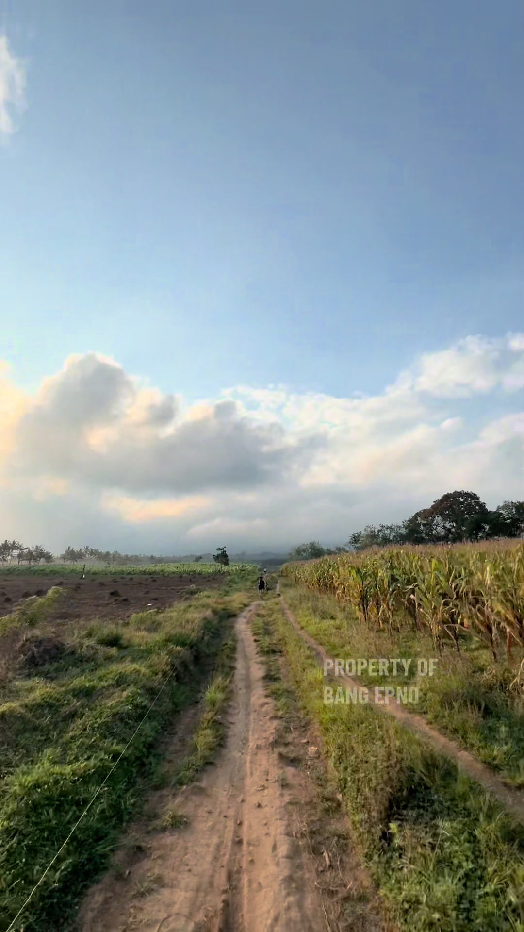 @SELEBGRAM BANYUWANGI REAL