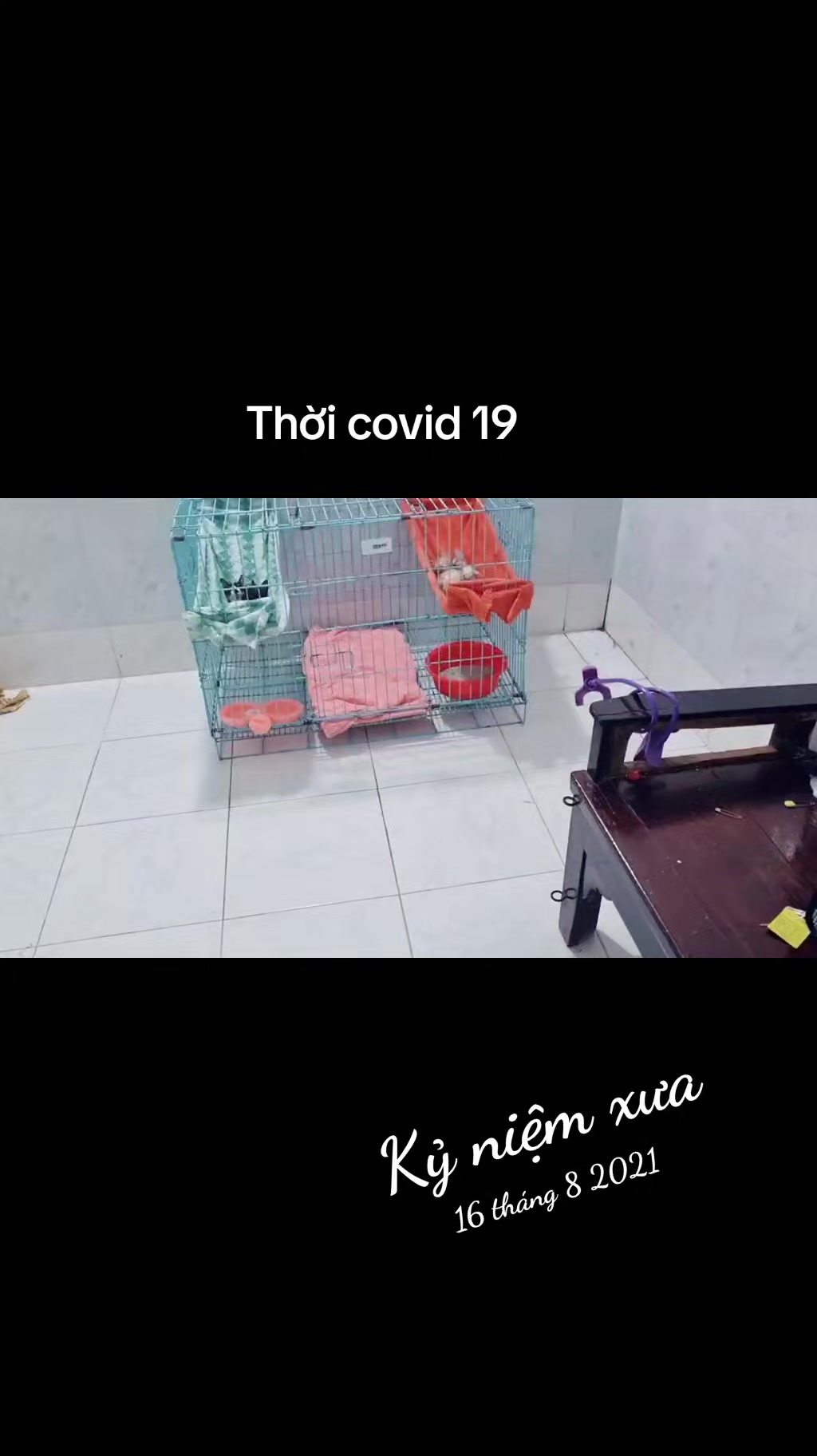 @Khế thúi