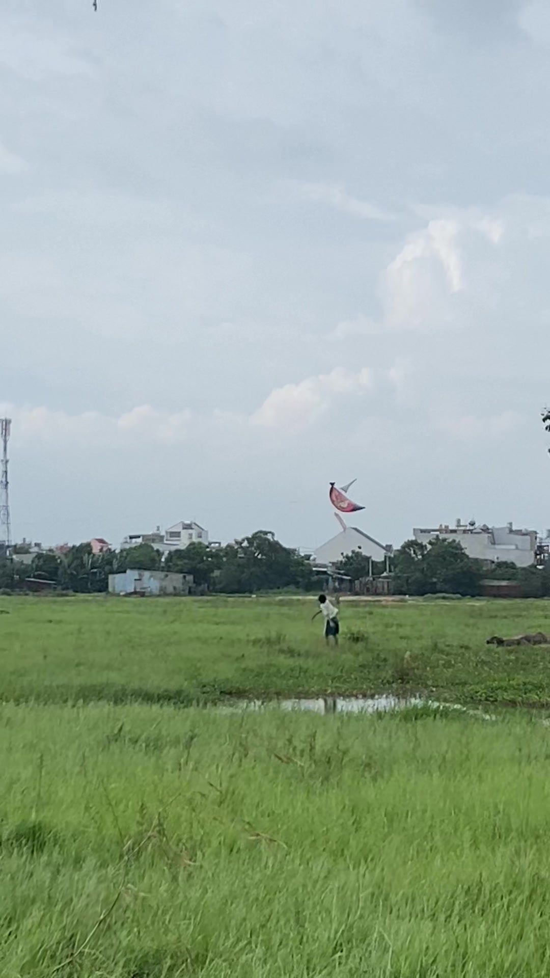 @Thả diều cùng Lợi