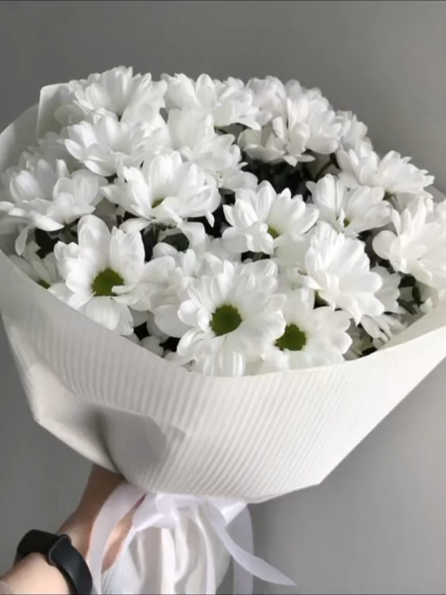 @pazin💐