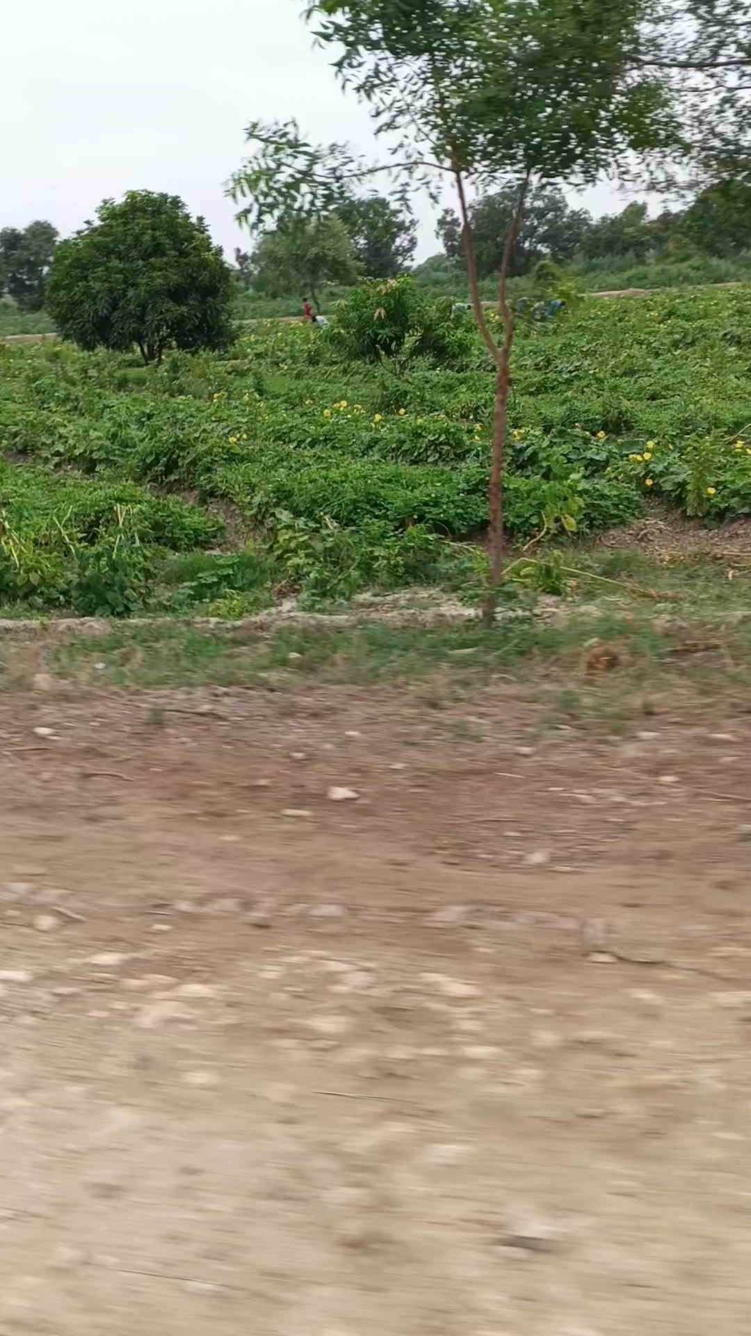 @Mukesh kumar kolhi