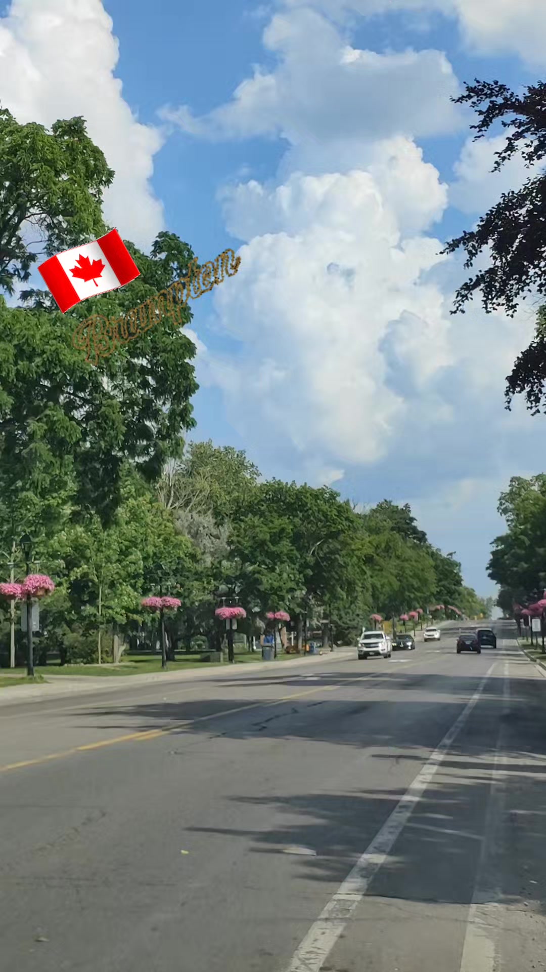 @Sher khan🇨🇦🥀