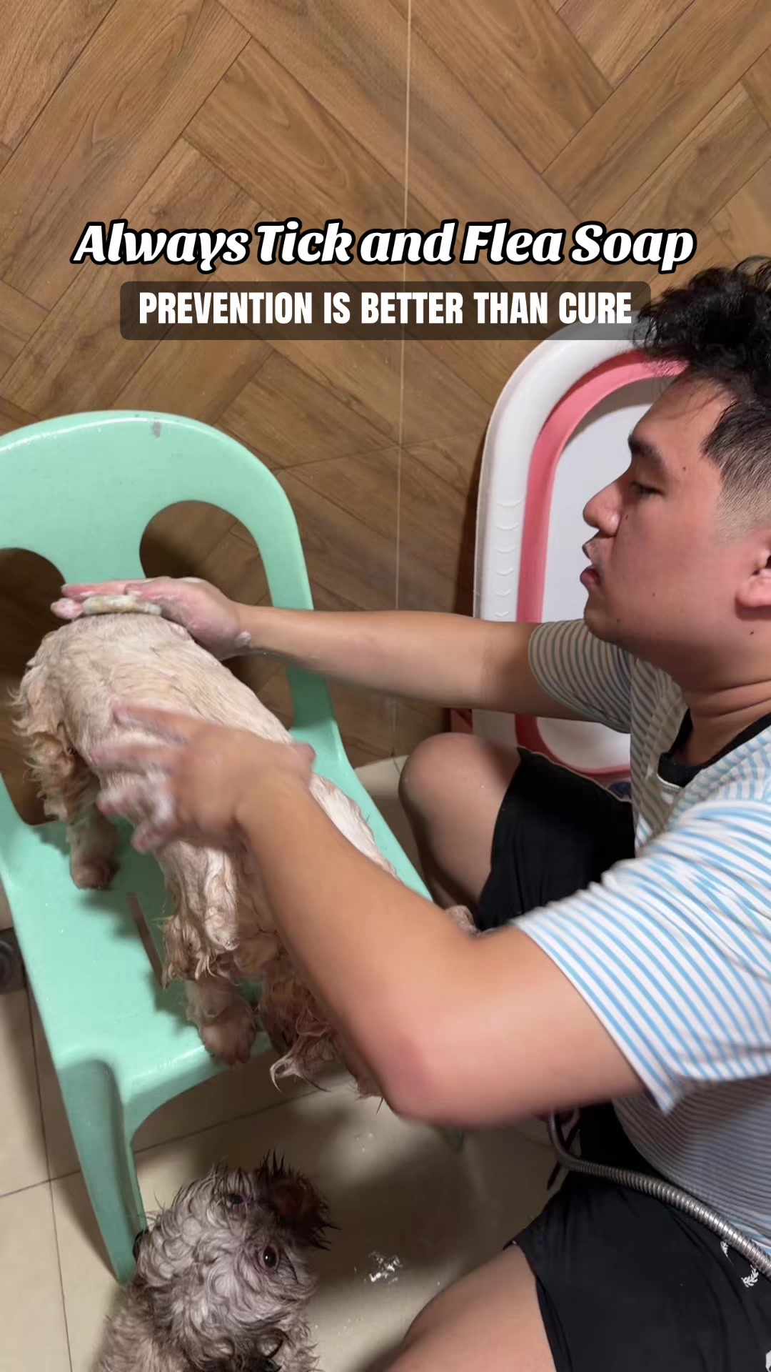 @Jeilah Ann
