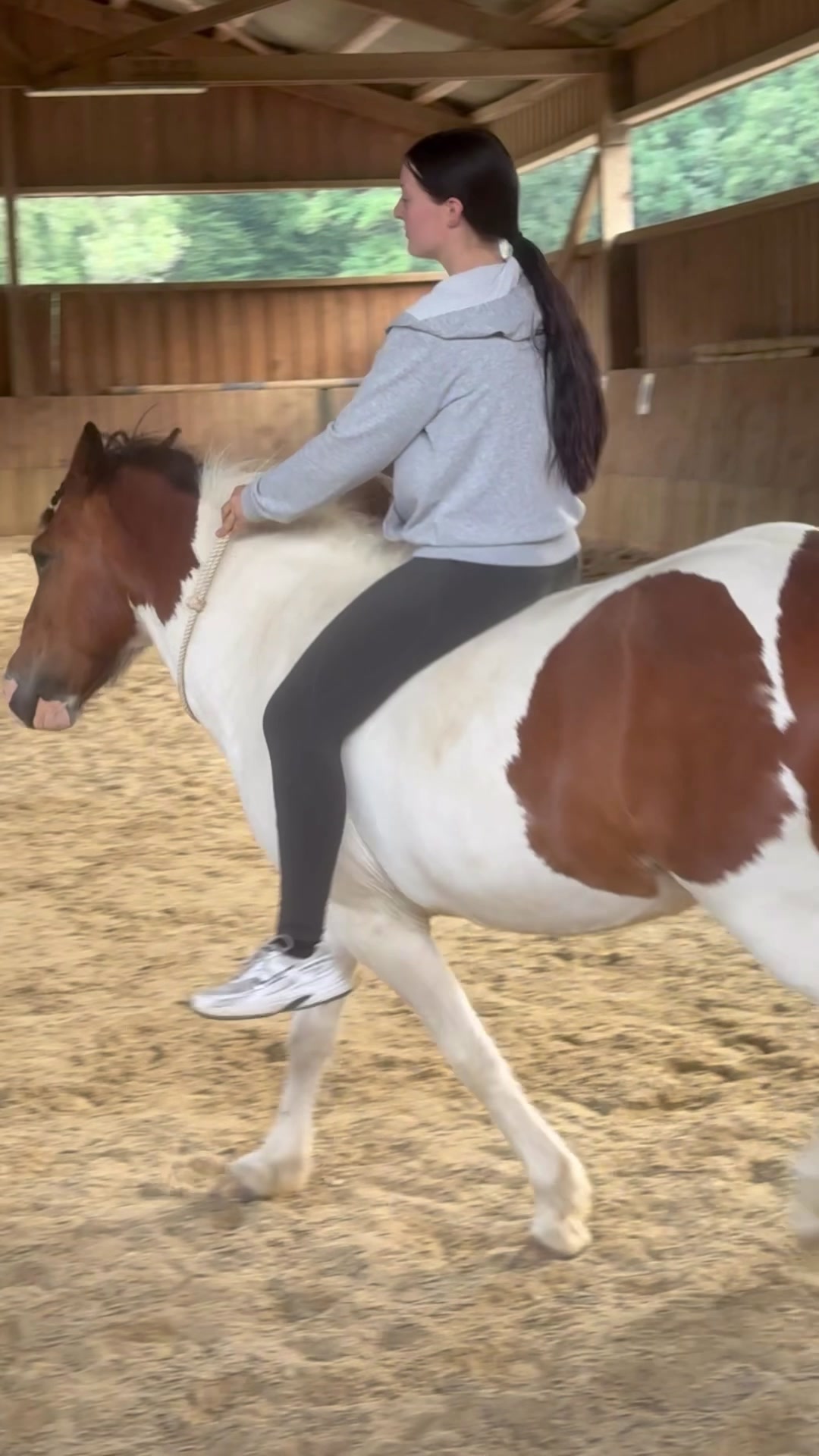 @annalisa.equestrian