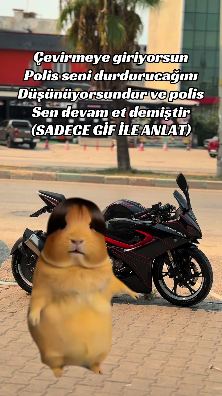 @𝓔𝓷𝓮𝓼𝓜𝓾𝓼𝓪