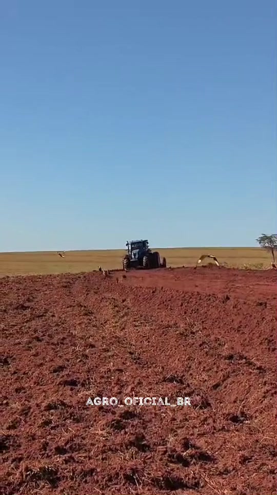@AGRO_OFICIAL_BR
