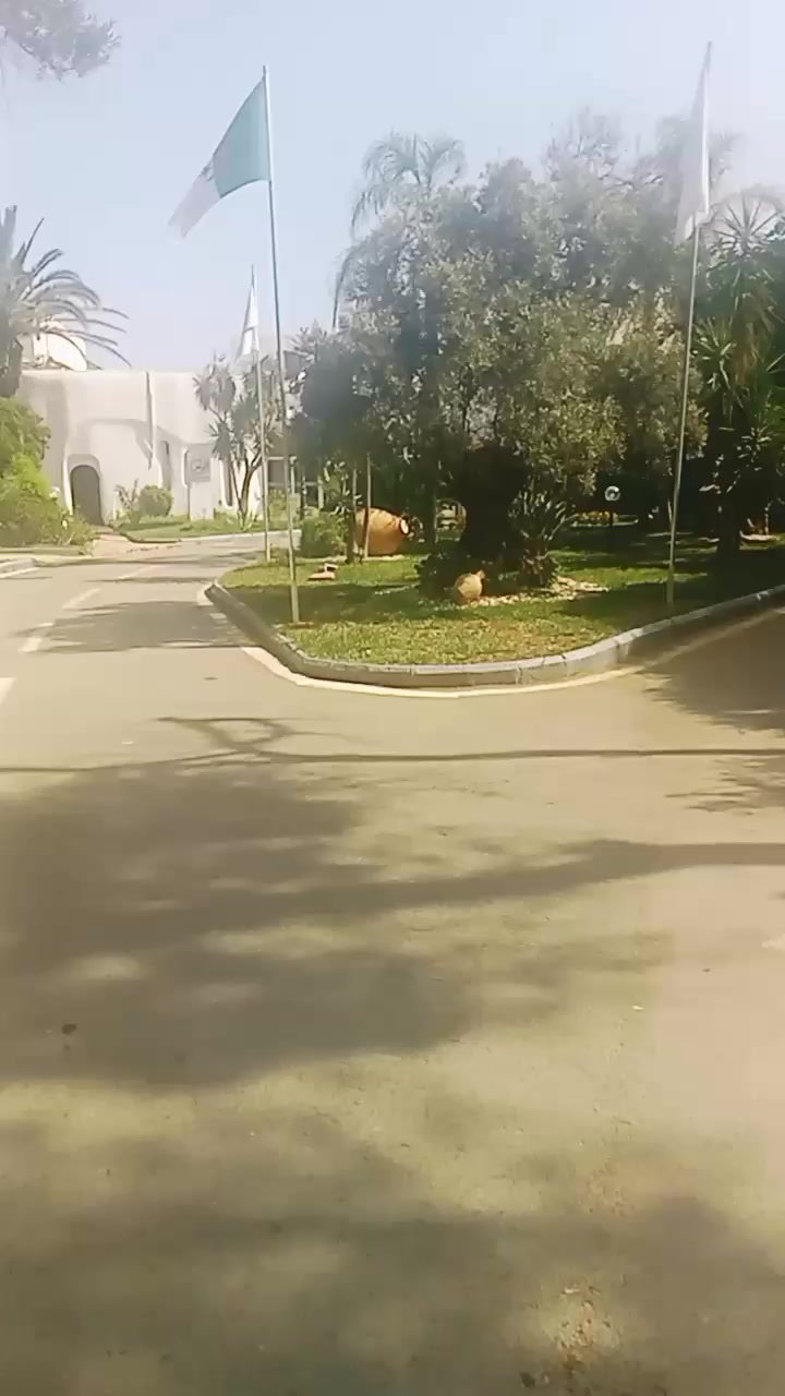 @MohYanni