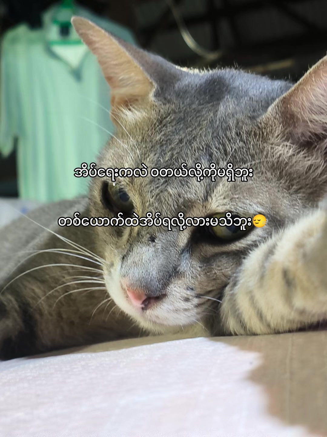 @๐ด๐ ๐ท๐๐๐