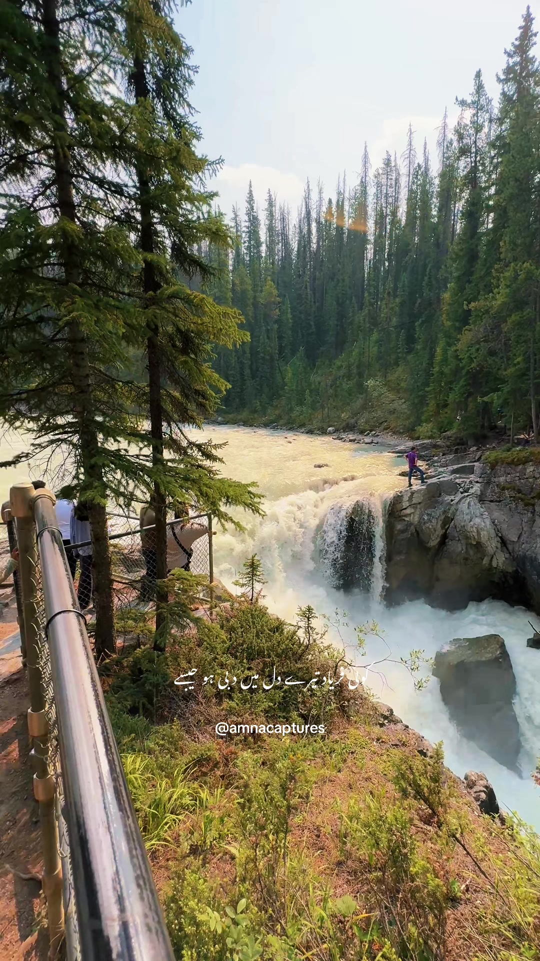 @Nature lover 🇨🇦